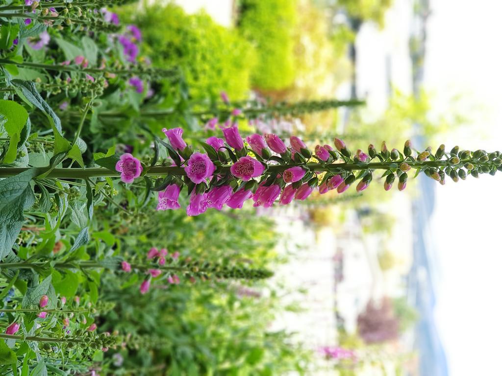 호바트 오라나 하우스 B&B 외부 사진